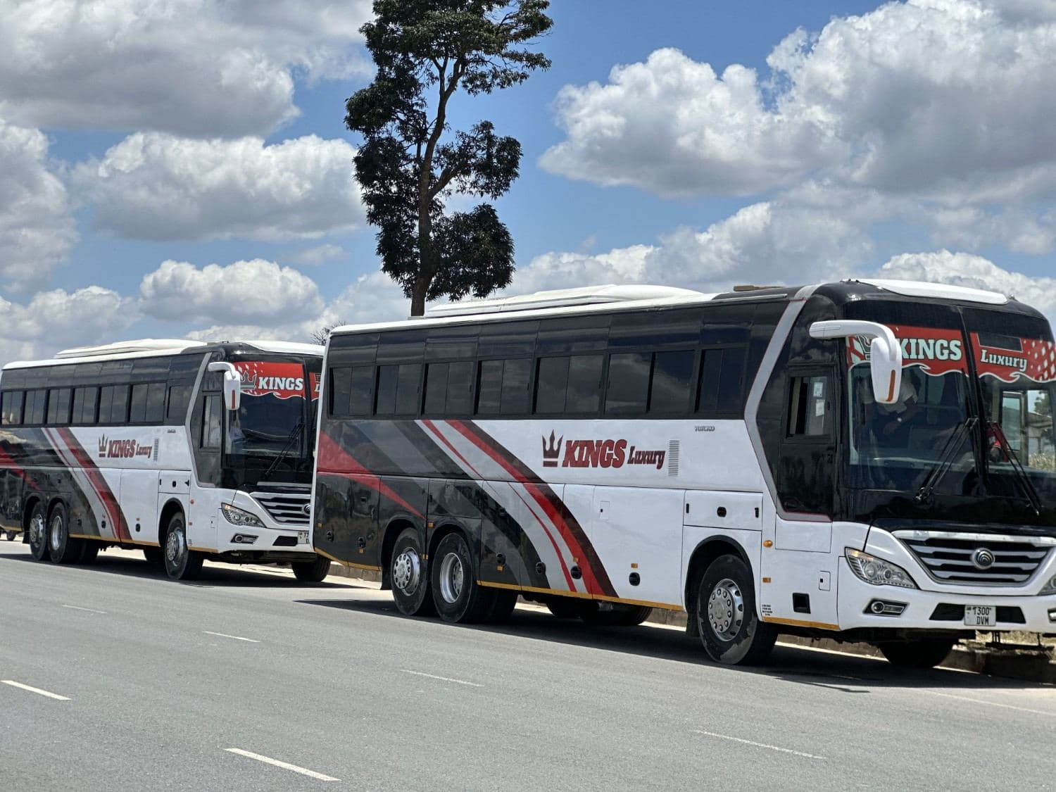 Kings Luxury coaches parked beside the road